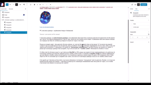 13WP_Bloc_details.mp4