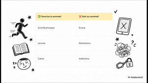 Le_Cerveau__Le_Manuel.mp4