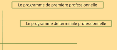 Programmes Première et Terminale-formation enseigner algo.mp4