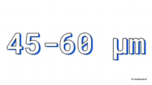 Reproduction_masculine.mp4