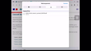 Naviguer sur internet - Application Firefox