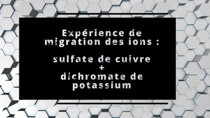 Étude de la migration des ions