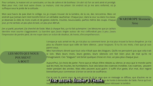 Les MOTS qui parlent des MAUX Collège Julia Nicolas.mov