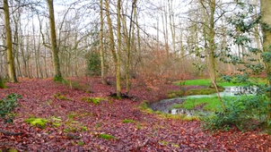 Olivia et Noémie - La Bête.mp4