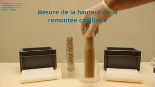 Remontée Capillaire