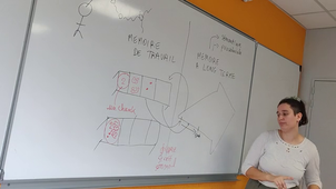 Apprentissage et cerveau P1