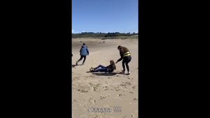 Mouches - Aire Marine Educative AME Collège René Cassin Cancale