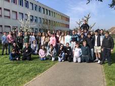Interviews des anglais