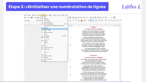 astuce_numerique_1_numerotation_lignes.mp4