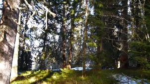 Doriane - Les brèches.mp4