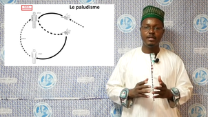 2 maladies infectieuses -  étape 1 - B.mp4