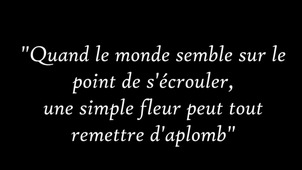 Bande annonce 5e C Le grand Voyage.mp4
