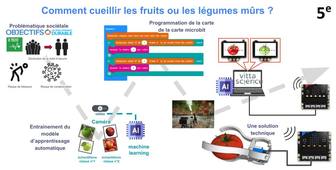 IA pour reconnaitre les fruits