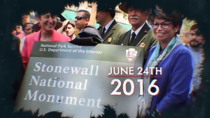 How the Stonewall Riots Sparked a Movement History