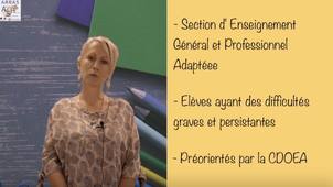 [Comprendre] La SEGPA - définition par Hélène Tixier (CPC Arras ASH)