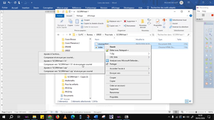 tuto scorm et parcours elea.avi