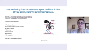 Médiation animale ou présence animale ?