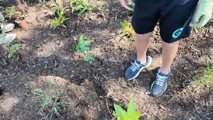 plantationmicroforetcollege.mp4