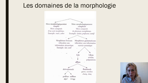 Intervention P. COLE - LEXIQUE ET MORPHOLOGIE Plan français 13 novembre 2020.mp4