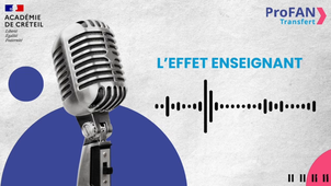 L'EFFET ENSEIGNANT ET FEEDBACK
