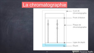 comment identifier une éspèce chimique.webm