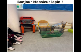 Mais où est Batman ?