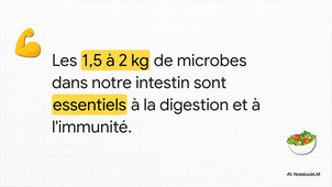 Microorganismes___Le_monde_invisible.mp4