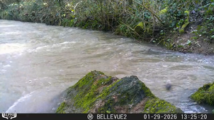 rocher-Mouline-janvier-2026-brut.mp4