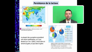 L'histoire humaine lue dans son génome