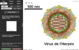 Mesurer avec Mesurim2 (en ligne)