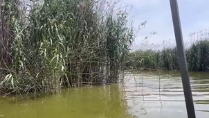 REFRESH_day_#3_mobility_alzira.mp4