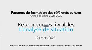 Formation des référents culture 2024-2025 - Retour sur les livrables - Visio Analyse de situation 24mars25