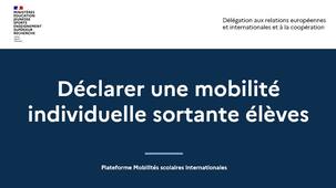 Déclarer une mobilité internationale individuelle élève sortante