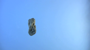 Egalité fille garçon Master Louis Aragon-2025.mov