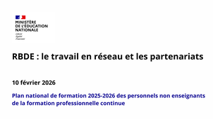 RBDE : le travail en réseau et les partenariats