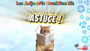Gram14 - Adjectif leçon.mp4