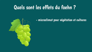 M1_Seance_3_Partie-4a