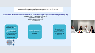 Les licences du secteur économie gestion, partie 1