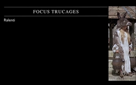 Peau d'Âne - pistes pédagogiques