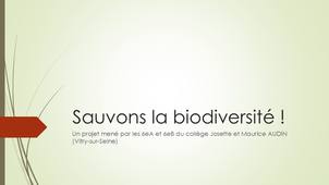 Sauvons la biodiversité ! Présentation des insectes observables dans le cadre du protocole Spipoll