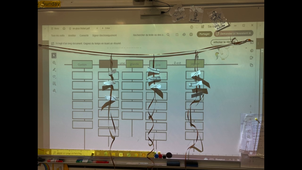 capsule en-jeux d'écriture.mp4