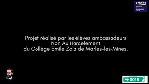 Vidéo concours NAH Collège Emile Zola.mp4