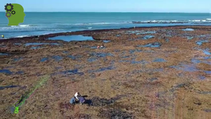 Services ecosystemique 2