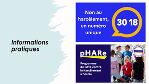 Capsule 2 Le harcèlement et les ambassadeurs.mp4