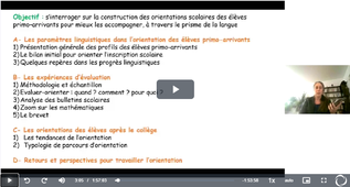 L’orientation scolaire des EANA en France : parcours, évaluations et propositions pédagogiques