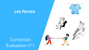 3-forces_eval1_crg.wmv