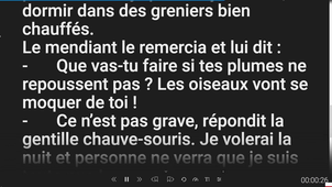 chauve souris 2.mp4