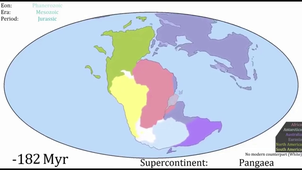 58 cycles de Wilson.mp4