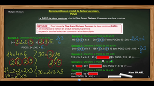 MULTIPLES DIVISEURS - PGCD