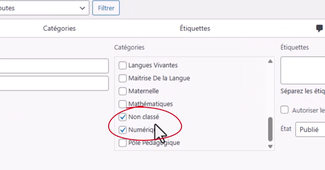 11WP_article_categorisation.mp4